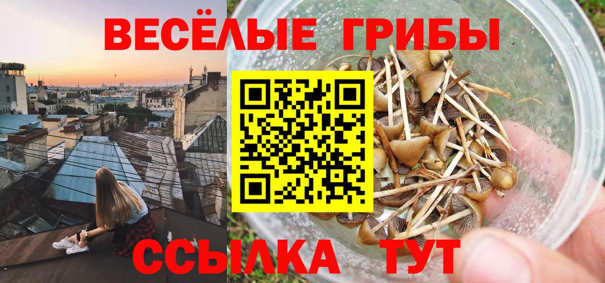 Псилоцибиновые грибы мухоморы  Вход с VPN  Зеленогорск 